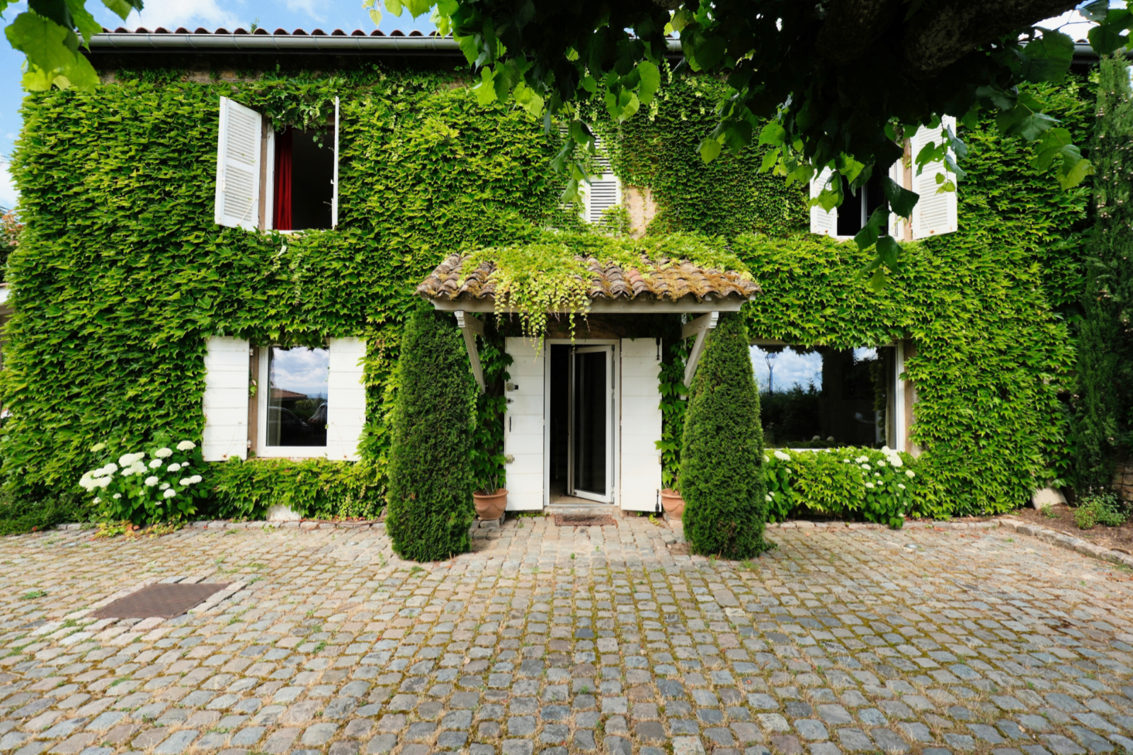 Extérieur